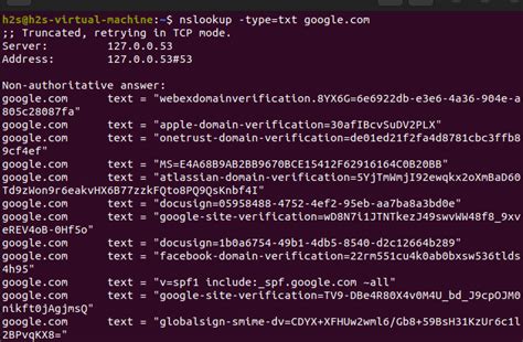 how to check domain in linux