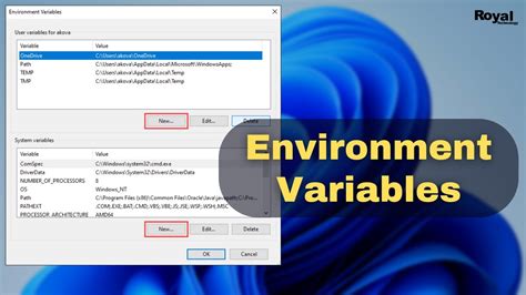 How To Check Environment Variables In Visual Studio