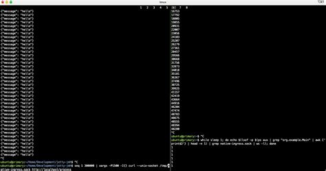 How To Check File Descriptor Leak In Linux
