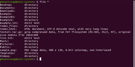 how to check file location in linux command line