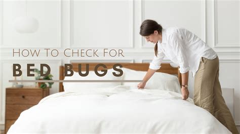 How To Check For Bed Bugs In Comforter