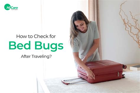 Combatting bed bugs ahead of travel season Canadian