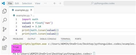 How To Check For Float Nan Python