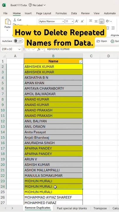 how to check for repeated names in excel