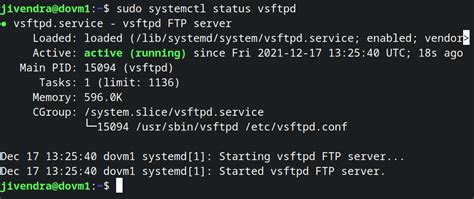 how to check ftp service in linux