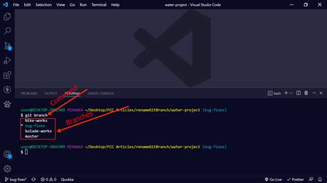 how to check git branch in terminal