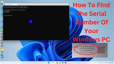 How To Check Hardware Serial Number In Windows