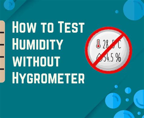 How To Check Humidity Levels Without Hygrometer