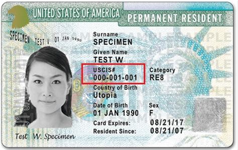 How To Check If A Green Card Number Is Valid