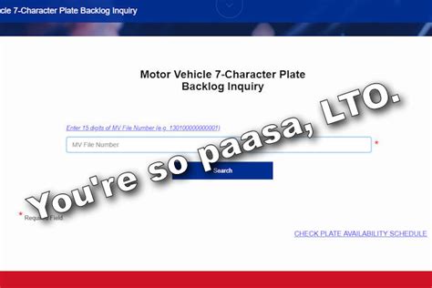 how to check if a plate number is available
