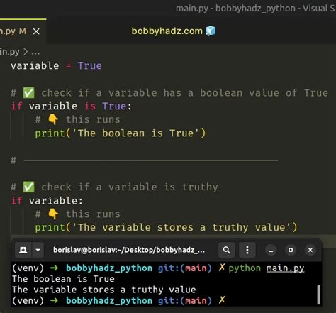 how to check if boolean is false in python