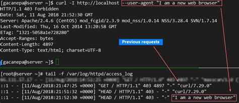 how to check if curl command is successful