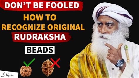 how to check if rudraksha is original or not