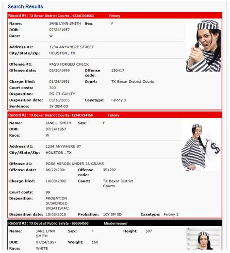 how to check if you have a criminal record using id number