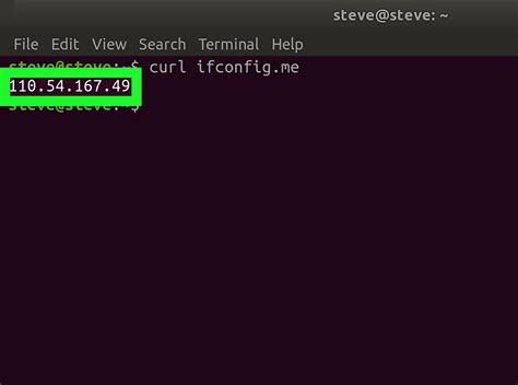 how to check ip in kali linux terminal