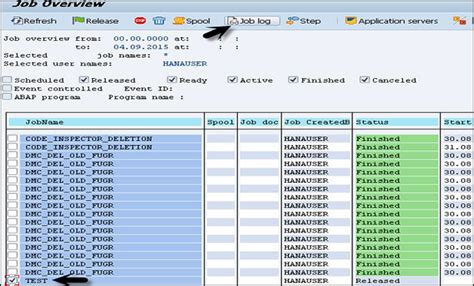 how to check job status in sap