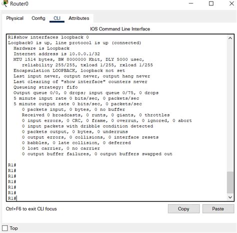 how to check loopback ip address in cisco router