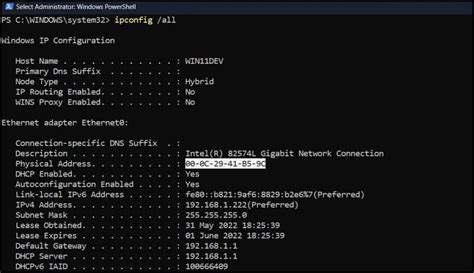 how to check mac address in windows 11 using cmd