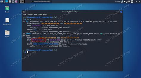 how to check my ip in kali linux terminal