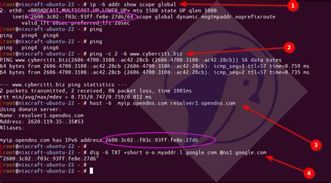 how to check my ipv6 address linux