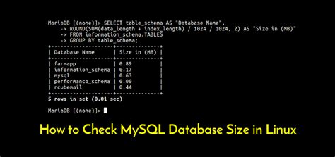 how to check mysql data directory in linux