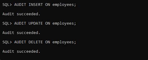 How To Check Object Level Auditing In Oracle