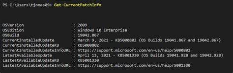 how to check patch level in windows 11