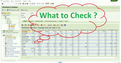 how to check performance issue in sap