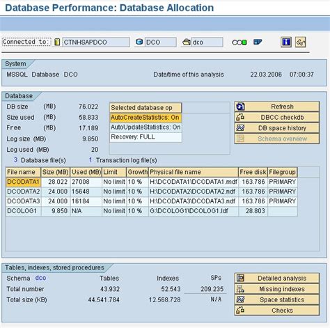 how to check performance of sap system