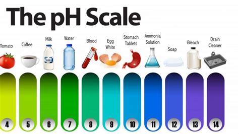 How To Check Ph Value Of Soap