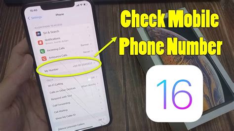 How To Check Phone Number From Iphone