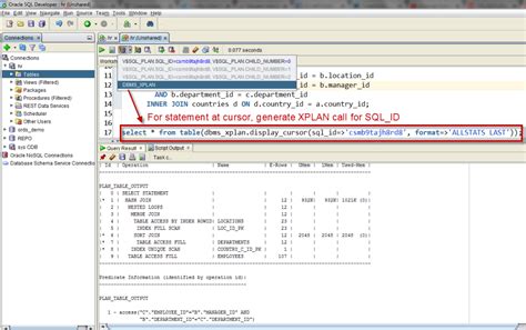 how to check query execution plan in oracle sql developer