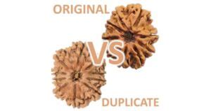 how to check rudraksha original or duplicate