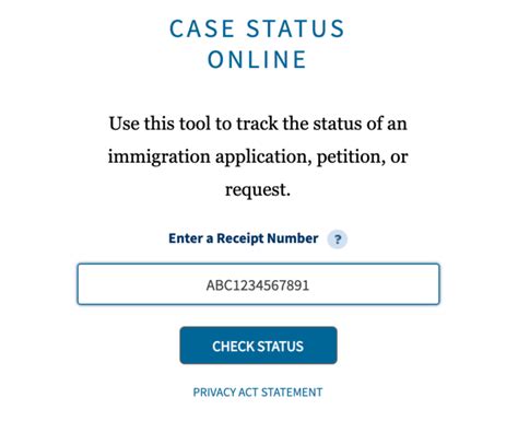 how to check status of naturalization application