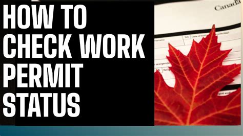 how to check study permit status