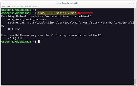 how to check user has sudo access in linux