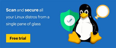 How To Check Vulnerability Scanner In Linux