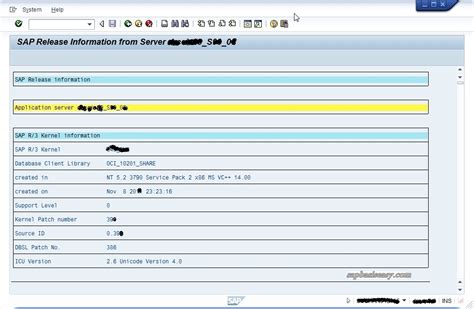 how to check when sap system build