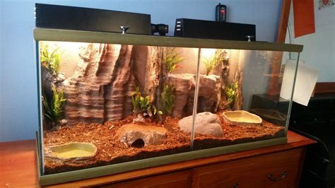 How To Clean A Ball Python Enclosure