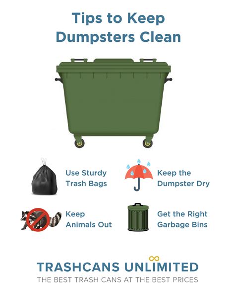 How To Clean A Garbage Dumpster