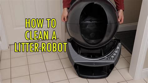 How To Clean A Robot Litter Box