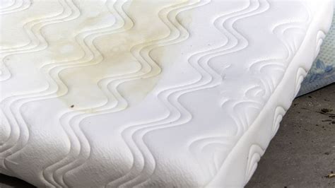 How To Clean A Stained Mattress Howtobasic