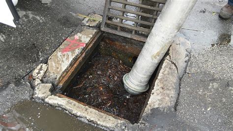 how to clean a storm drain