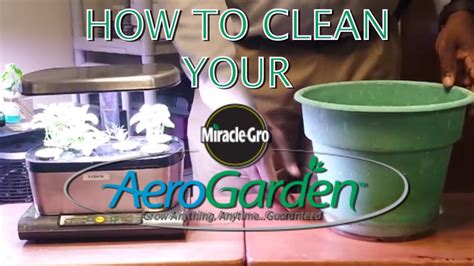 how to clean aero garden