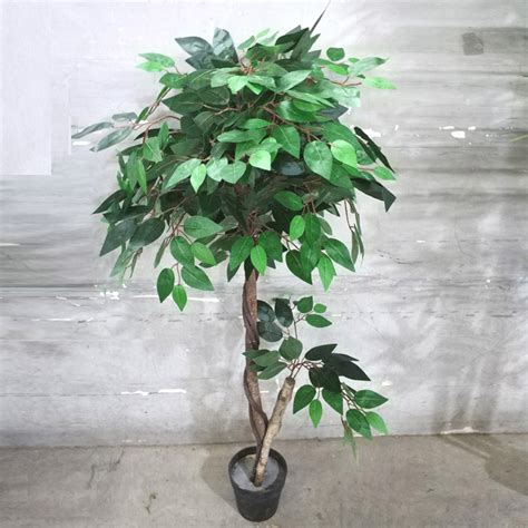 How To Clean Artificial Fig Tree