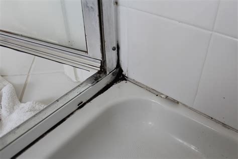 how to clean black mold from shower door