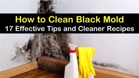 how to clean black mold on bathroom walls