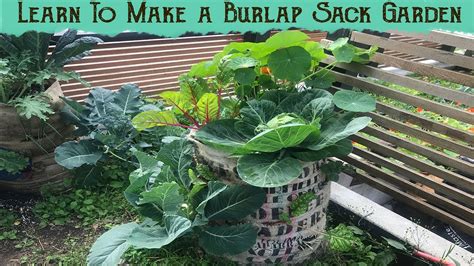 How To Clean Burlap Sacks