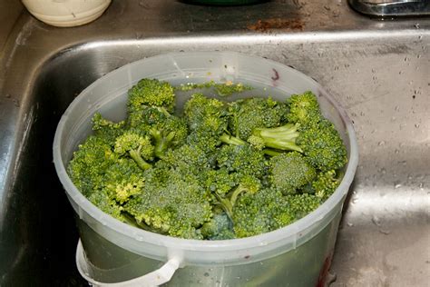 how to clean garden broccoli
