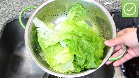 how to clean greens from the garden